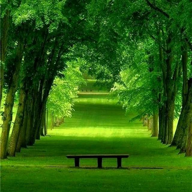 夜醉了心也碎了