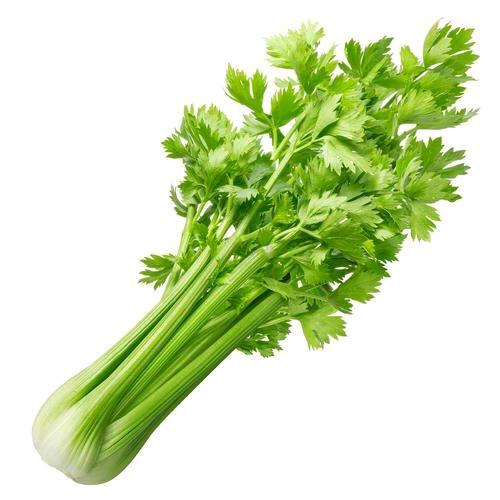 芹菜叶