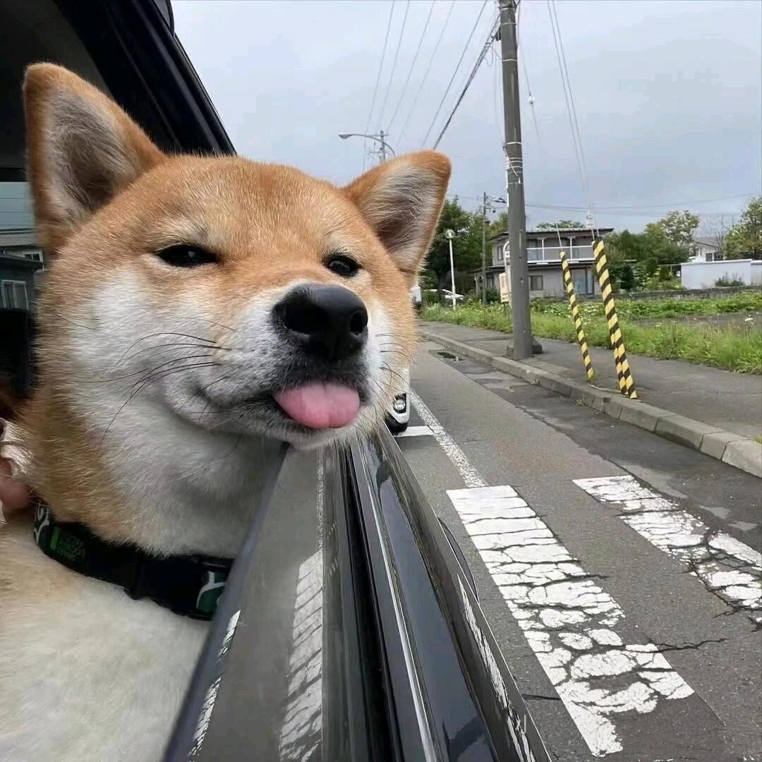 樂。