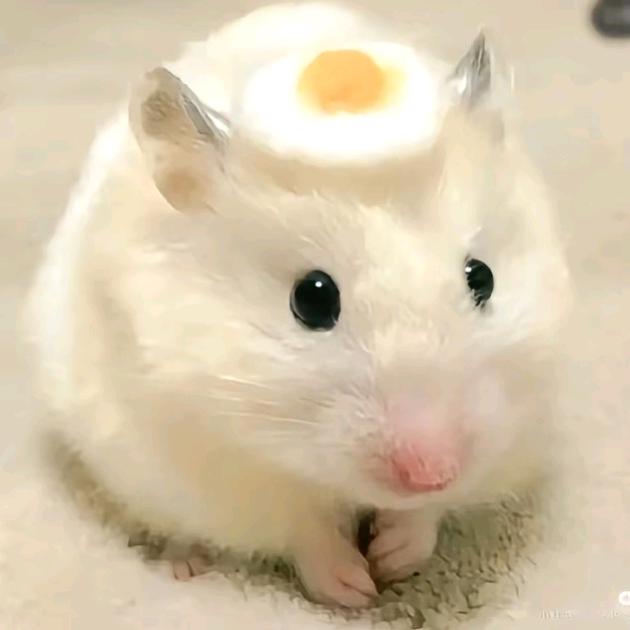 伲艿