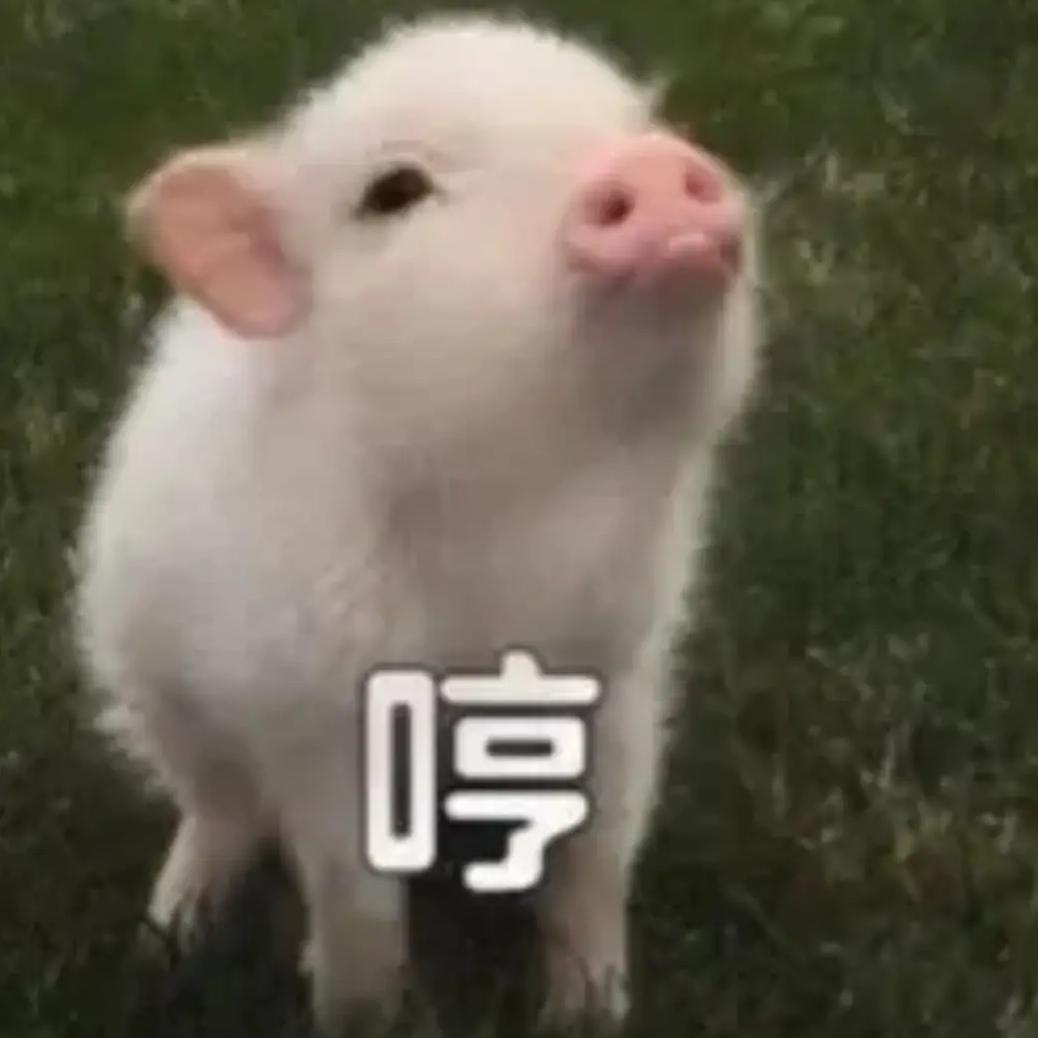 🌈陌陌