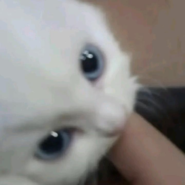 sss
