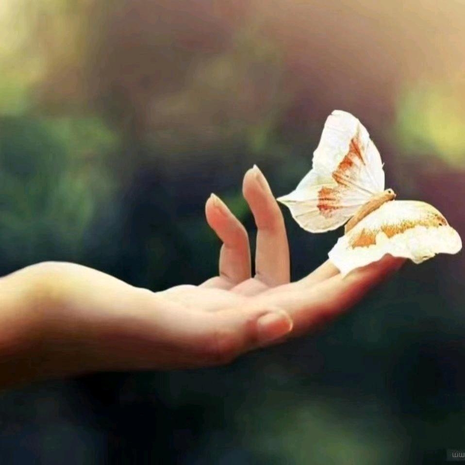 ❤️芳(拒私聊)