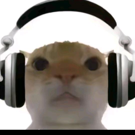 难盐