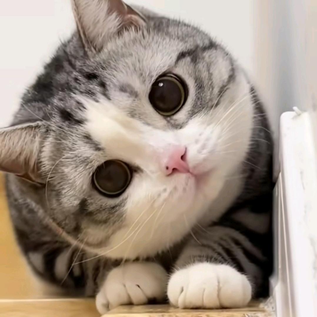 三问