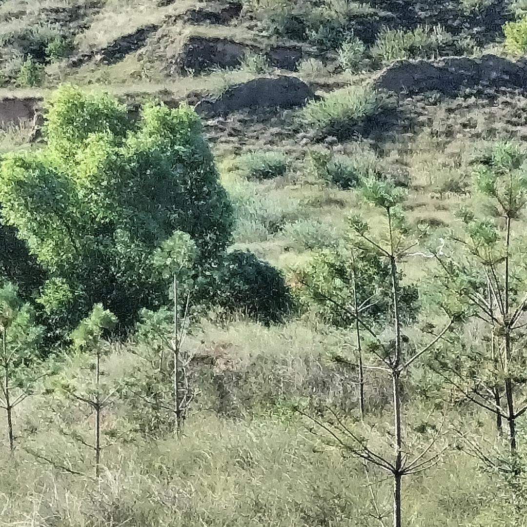 美好的时光