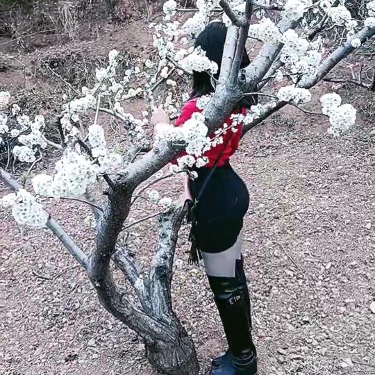 我的孤独⚘寂寞⚘谁买单