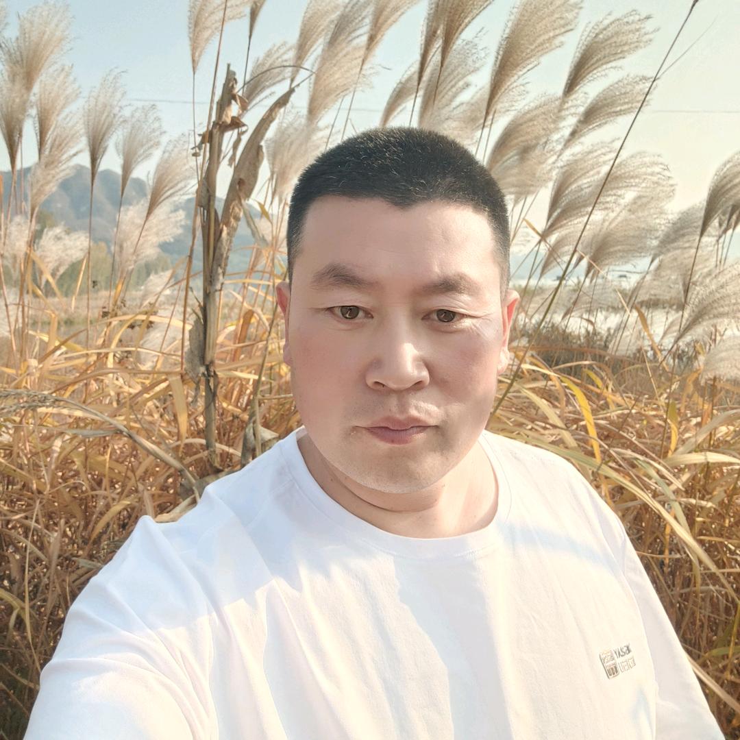 婚庆，广告，货车出租
