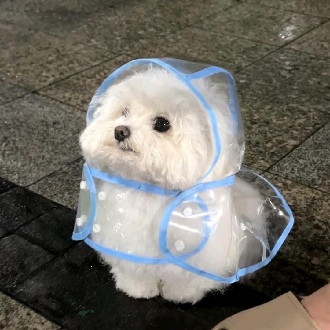 嗒啦嘀嗒啦