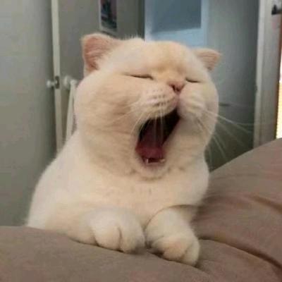 忘记时间的钟