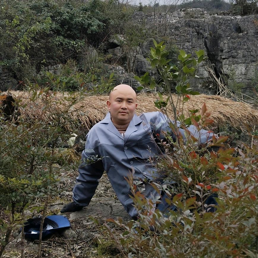 光头浪哥