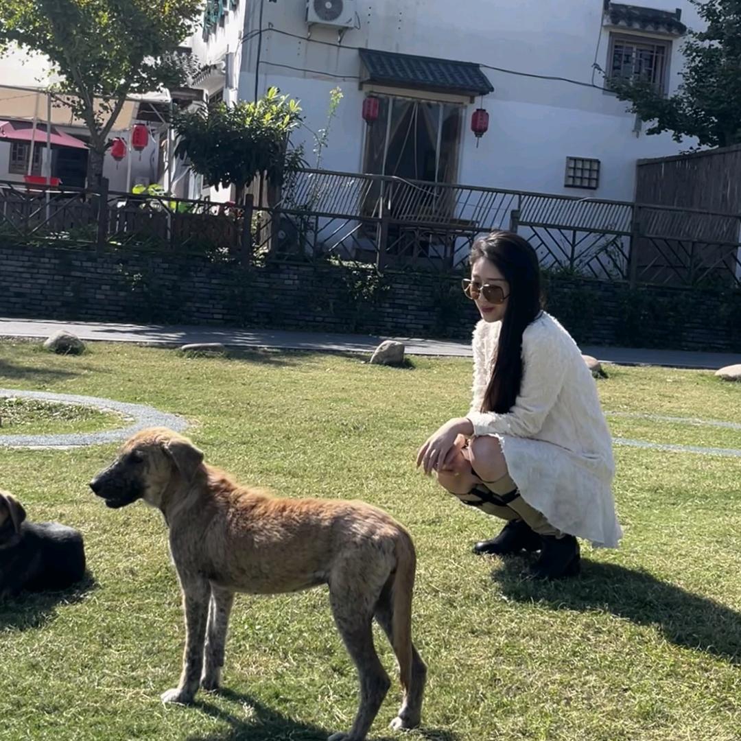 杭州Hayley姐定位