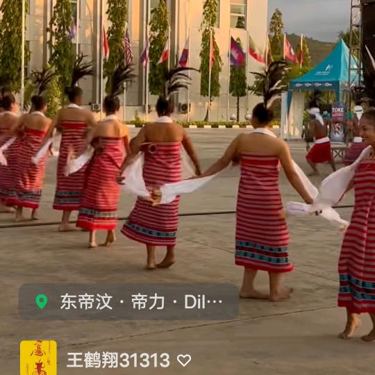 飞翔的鹤
