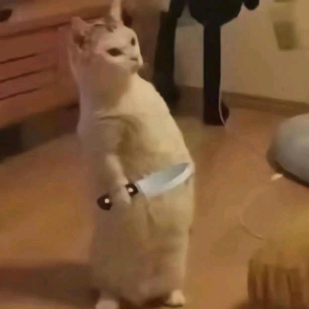 ʕ·͡ᴥ፝֟·ʔ ࿐