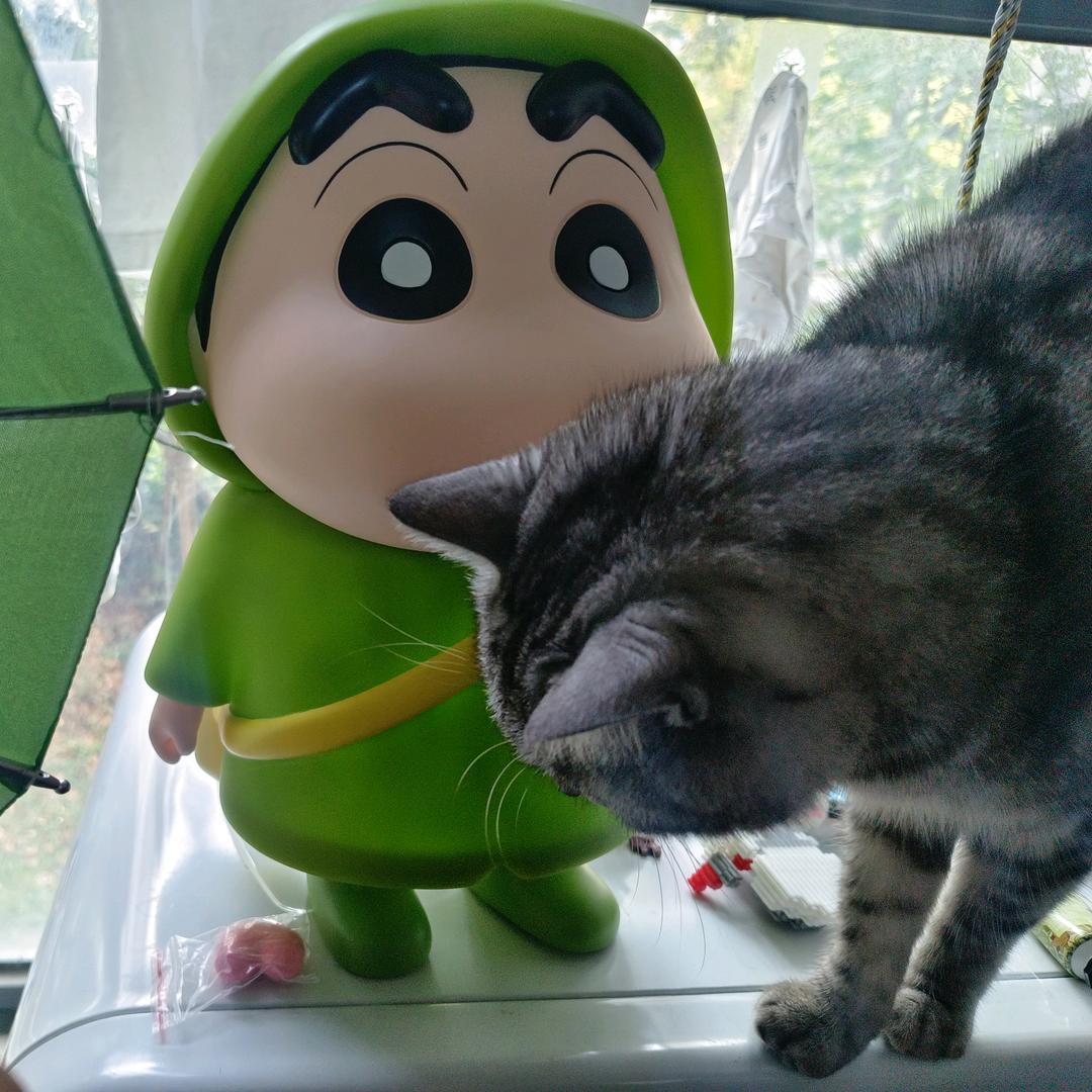 浙虞(不是大爷)