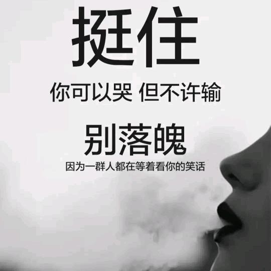 豫J~蛋蛋
