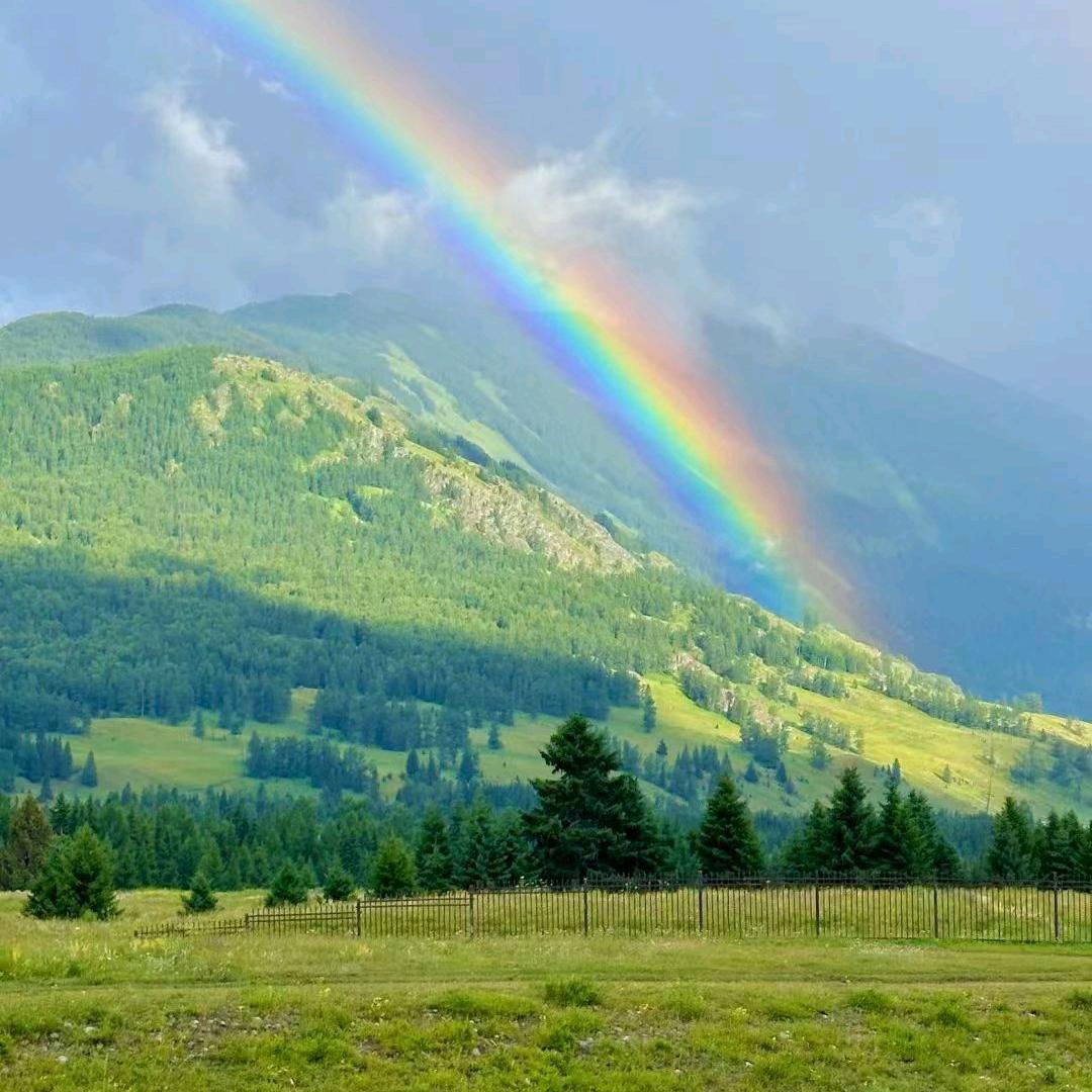 向阳而生🌻🌻