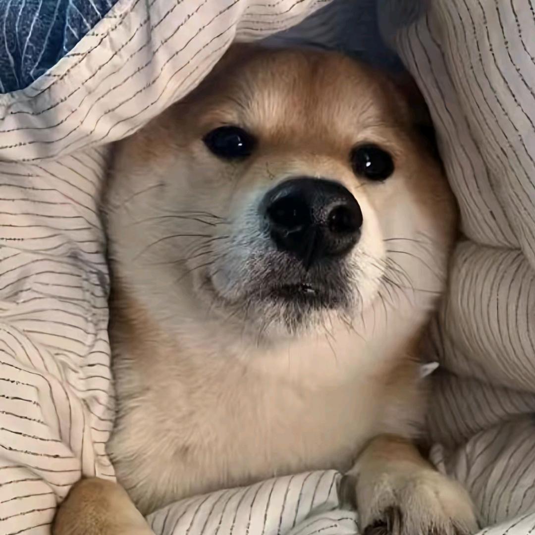月旁星✨～