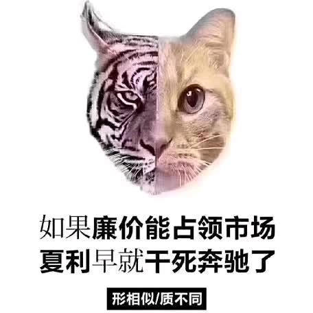 逍遥览（观山览水逍遥游）