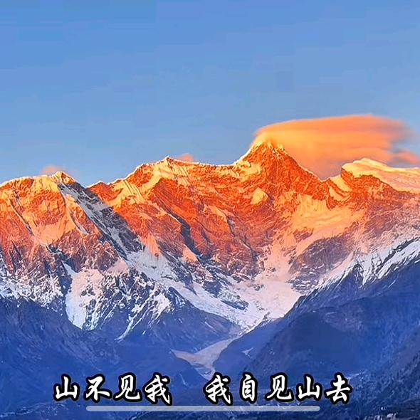 滇越吴白