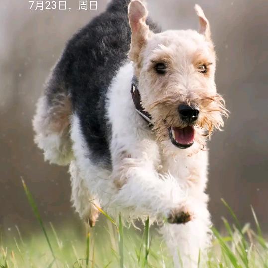 经典三步