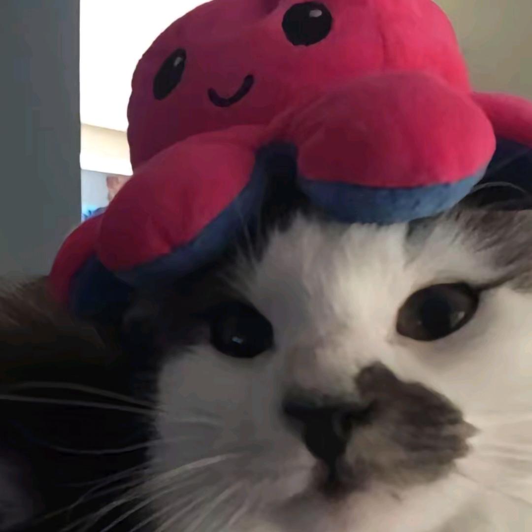 洋葱