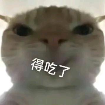 别离–三角洲鼠鼠（要得吃）