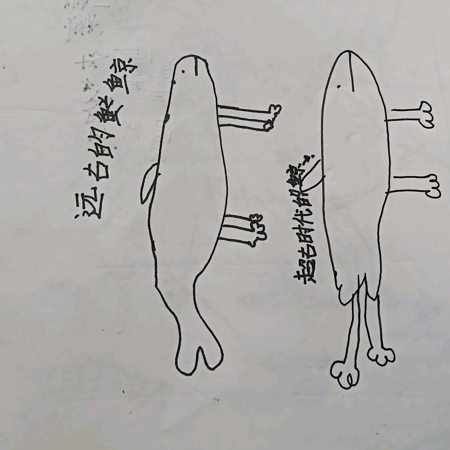 满 满
