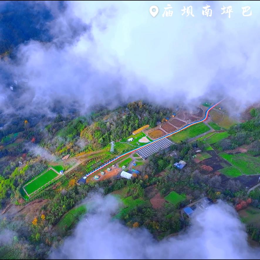 金多祥.巴山药谷