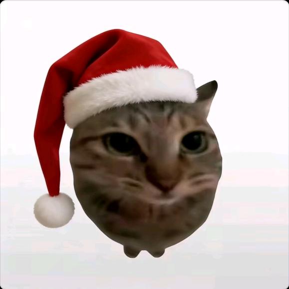 二头