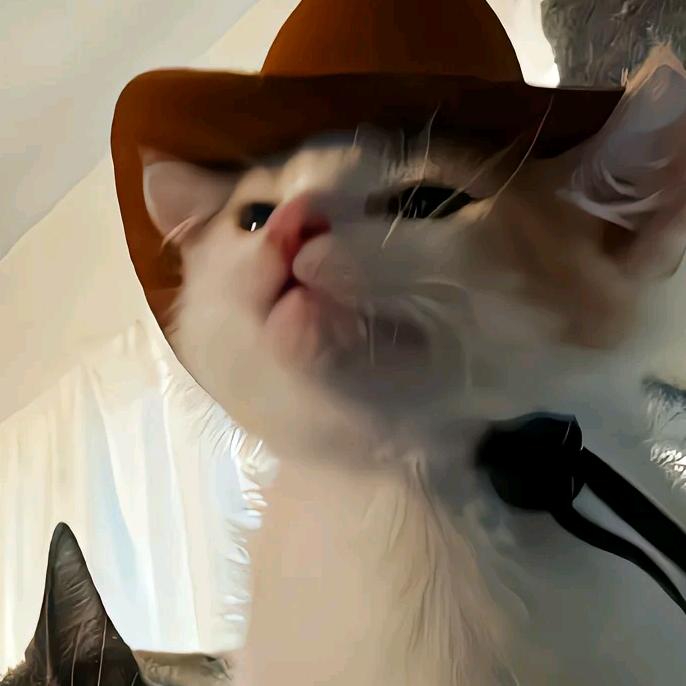 cat.🍞
