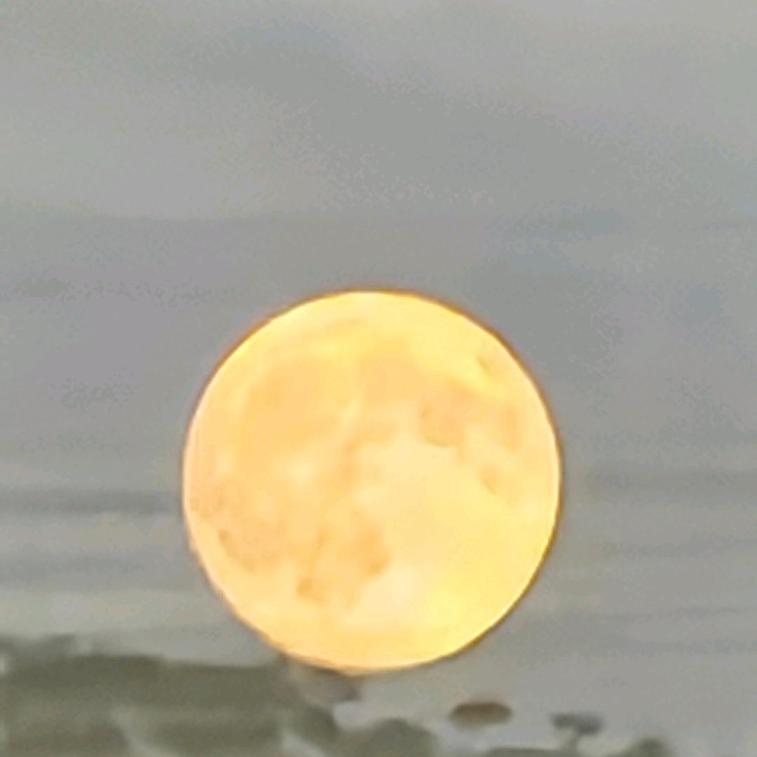 流年逝水年华还在