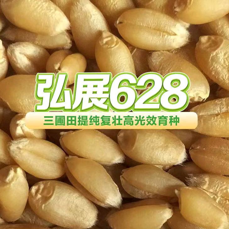 菏泽大台农饲料公司直销，河南区，