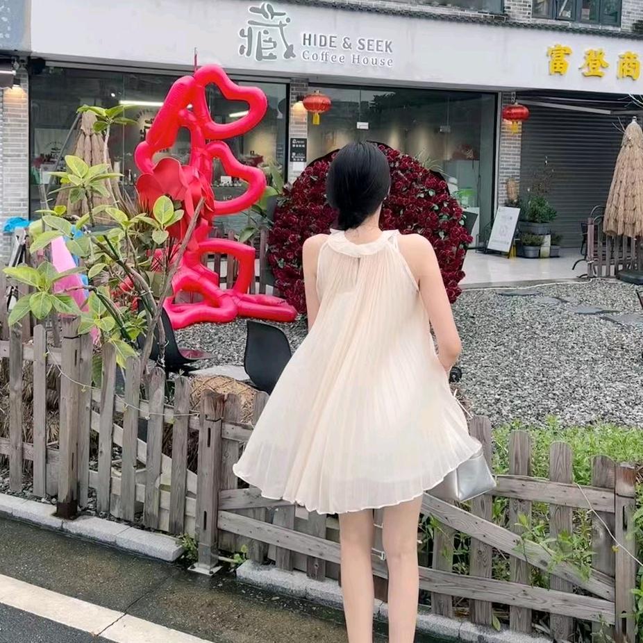 金白菜🥬