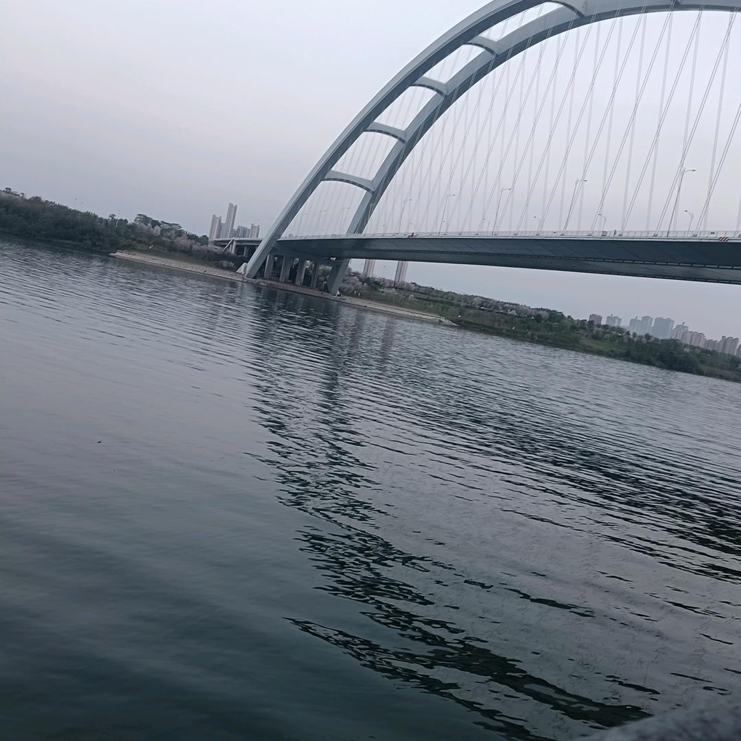 蓝先生