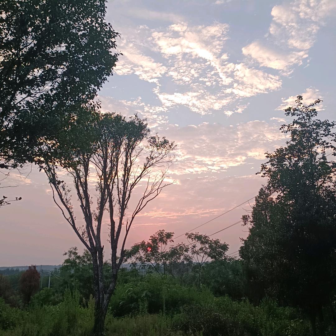 兰Õ_o🍉🥭🍋🍓🥒🍇