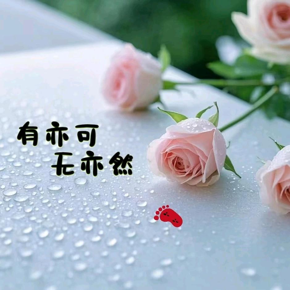 小丑鱼