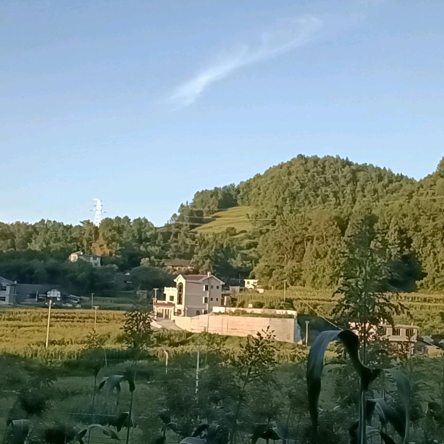 张huiqun