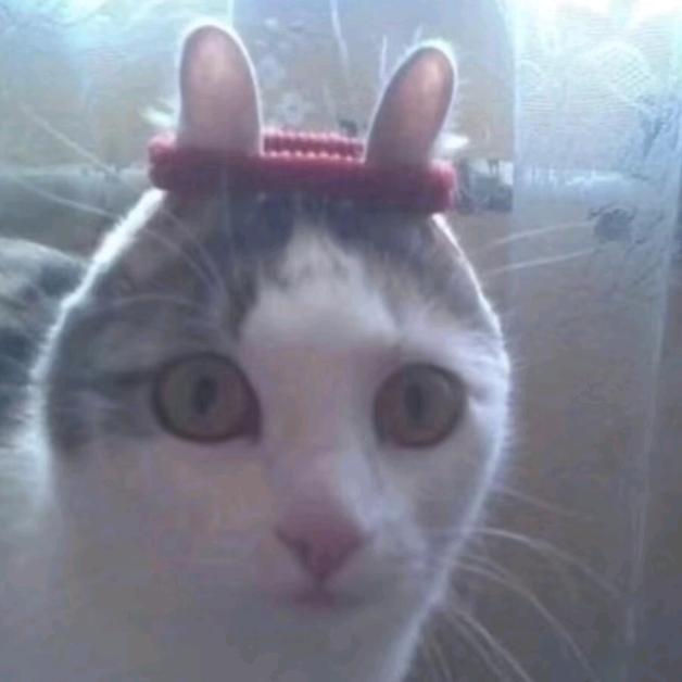 忧郁的农村入