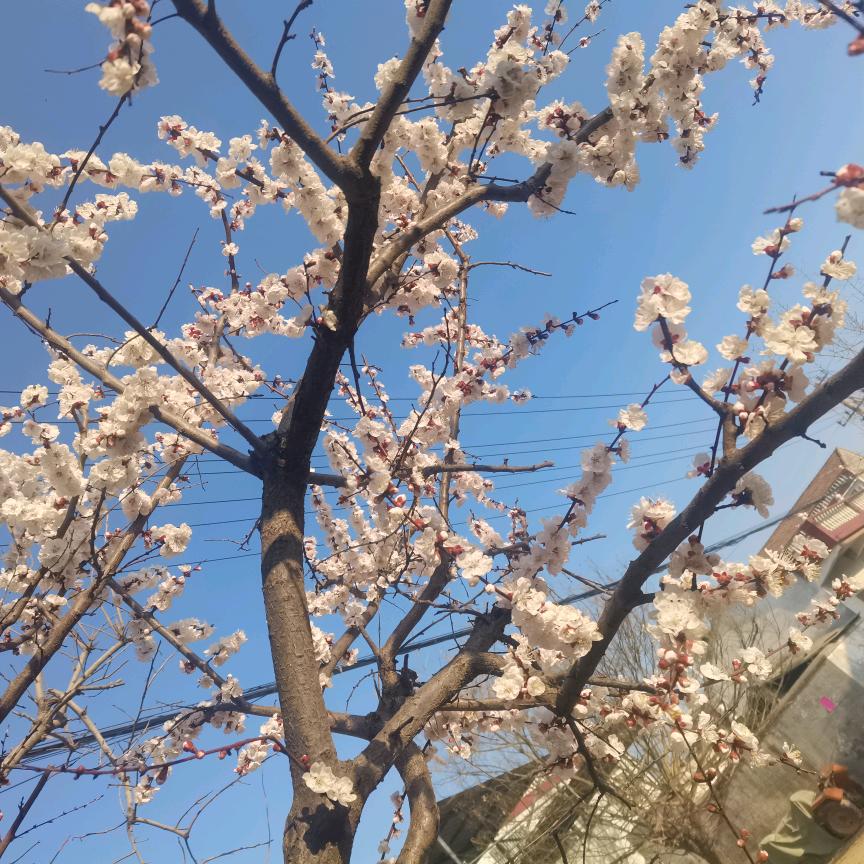 冰山一角
