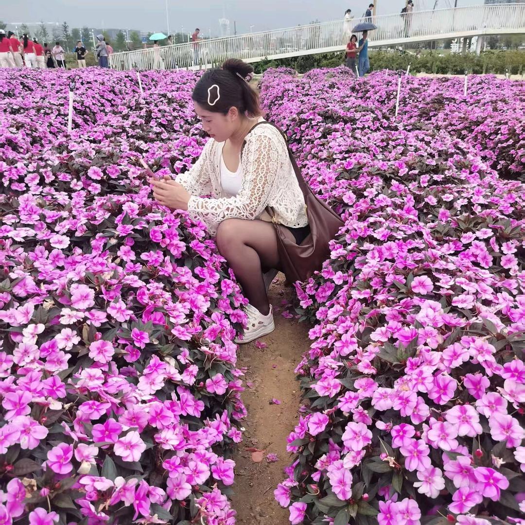 一颗心只为你。
