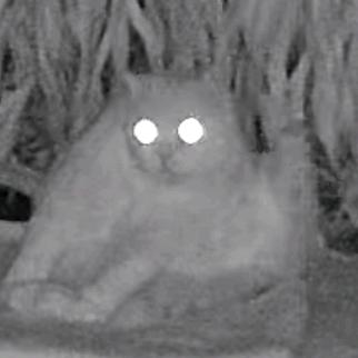 ㅤㅤㅤㅤㅤㅤㅤㅤㅤㅤㅤㅤ6ㅤㅤㅤㅤㅤㅤㅤ