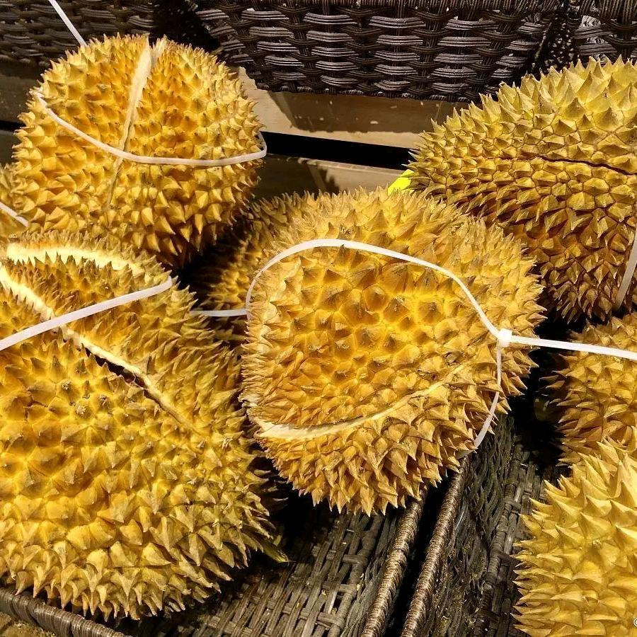 衡阳市石鼓区文豪土特产经营部