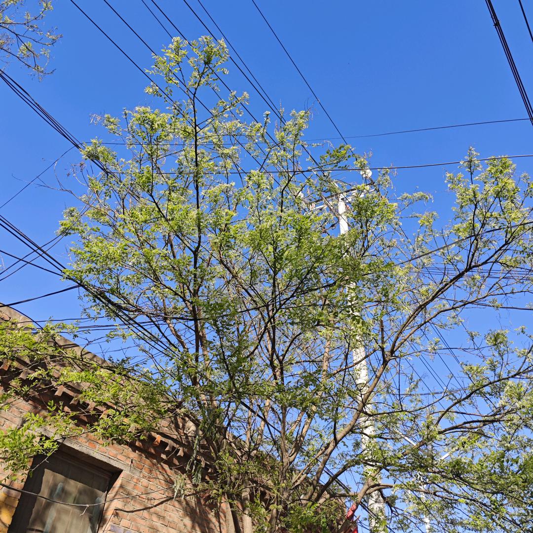 思念大海