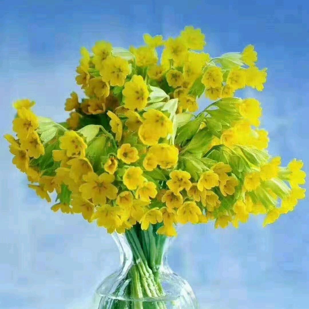 💓希望世界和平💗