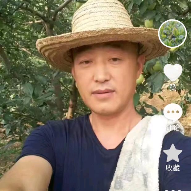 春茗生态茶园