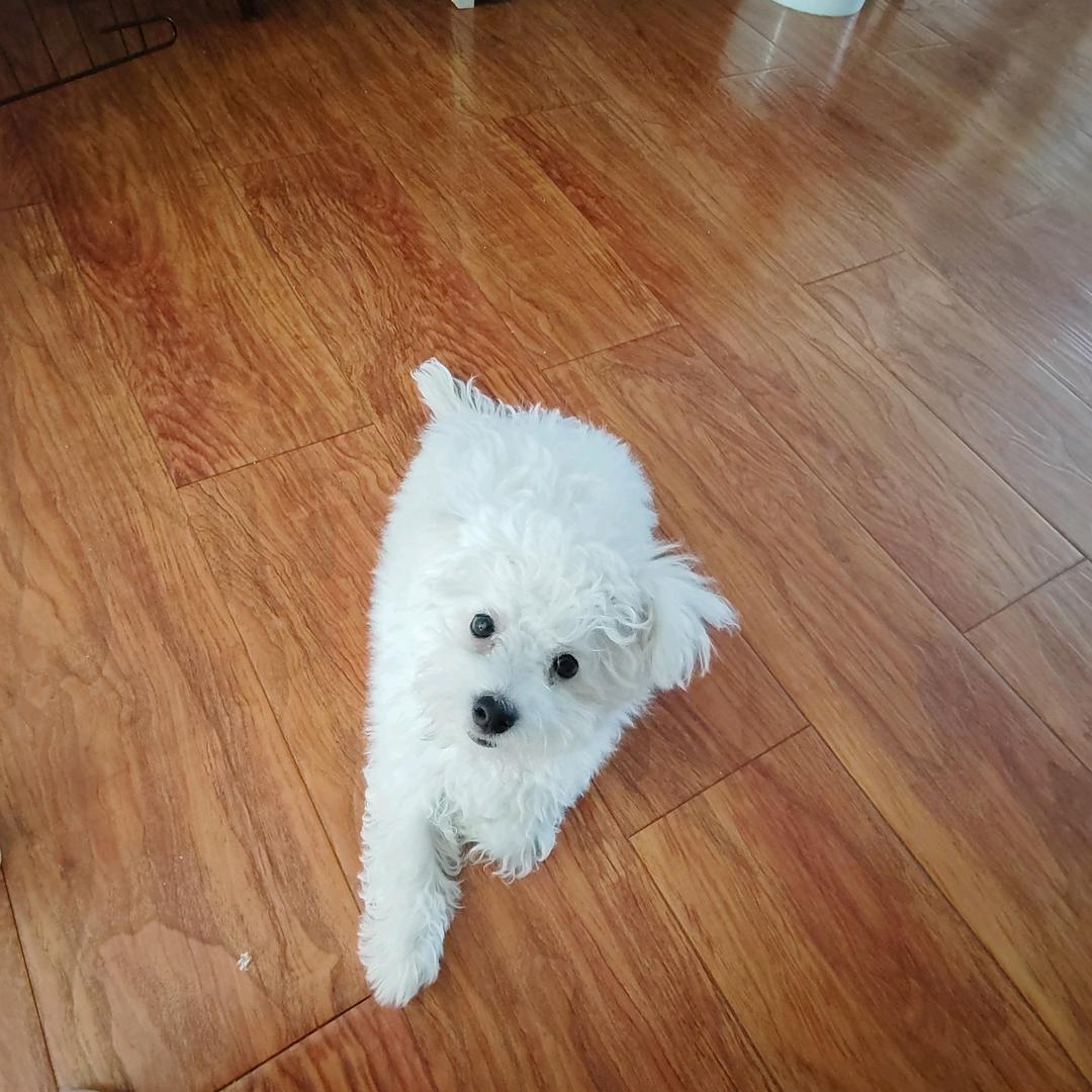 广州丽富洁餐饮欣欣直播号