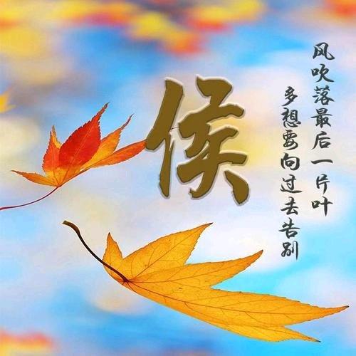 平安健康