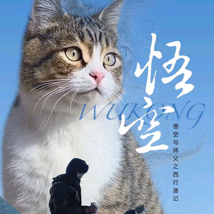 过忆不失忆