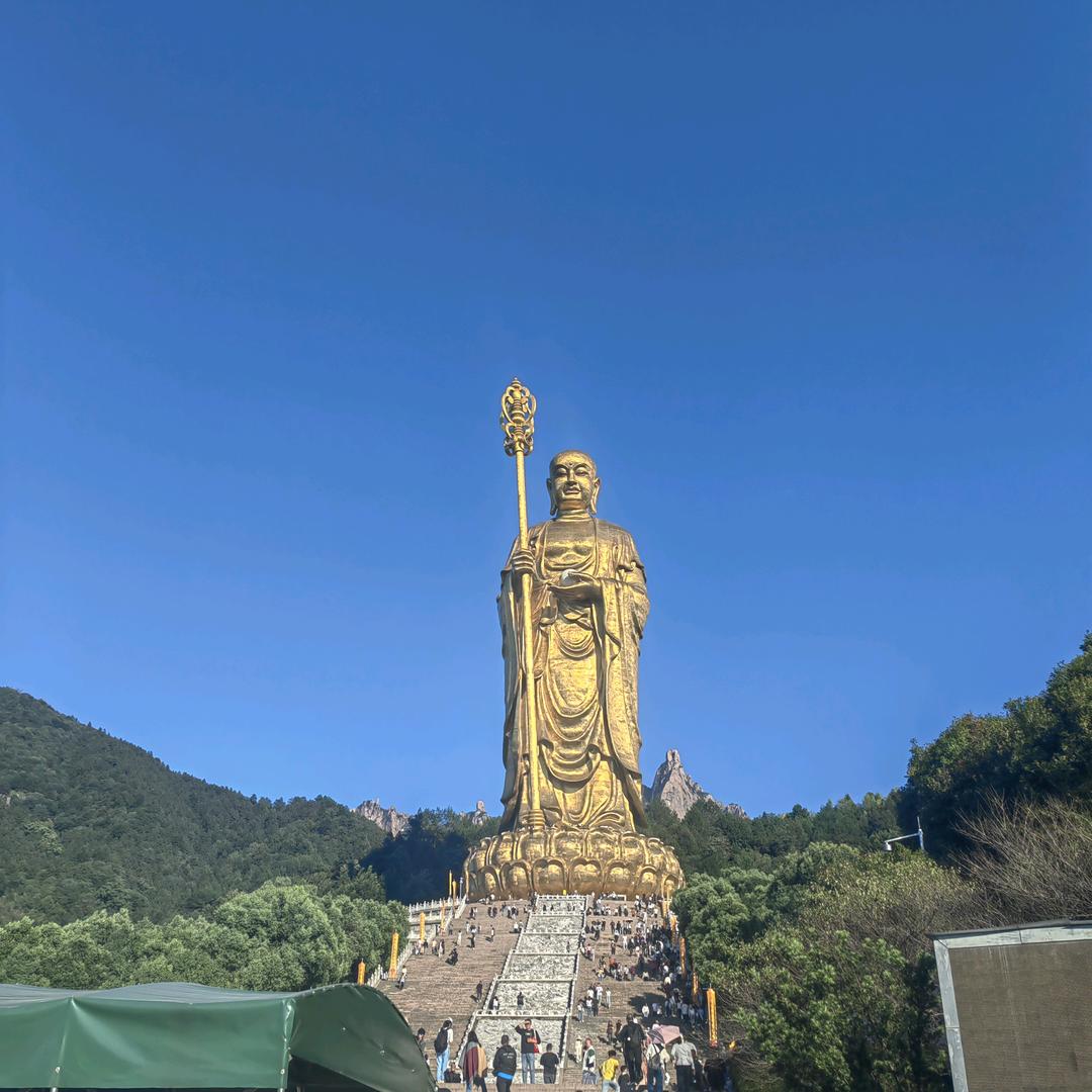 老白茶